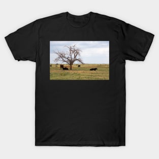 under the tree T-Shirt